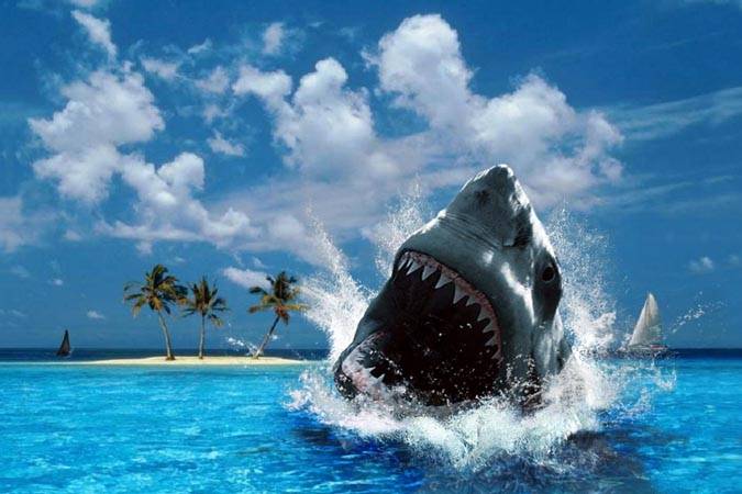 Принципы экономического анализа в условиях финансового кризиса