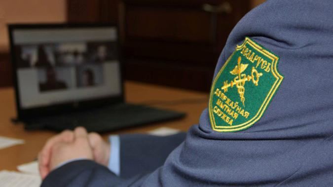 Обновлены подходы по отнесению физических лиц к иностранным гражданам для целей временного ввоза транспортных средств для личного пользования, зарегистрированных на территории иностранных государств