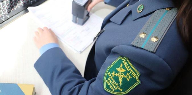 Расширение возможности подачи электронных прилагаемых документов к документам, обрабатываемым информационной системой таможенных органов, через электронную услугу 3.00.11