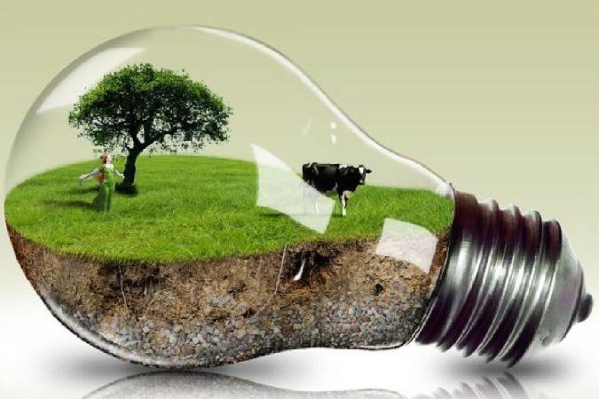 «Зеленая энергетика»: новые правила игры