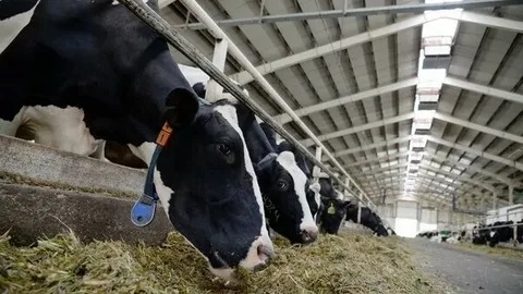 О доплатах отдельным категориям работников агропромышленного комплекса О доплатах отдельным категориям работников агропромышленного комплекса