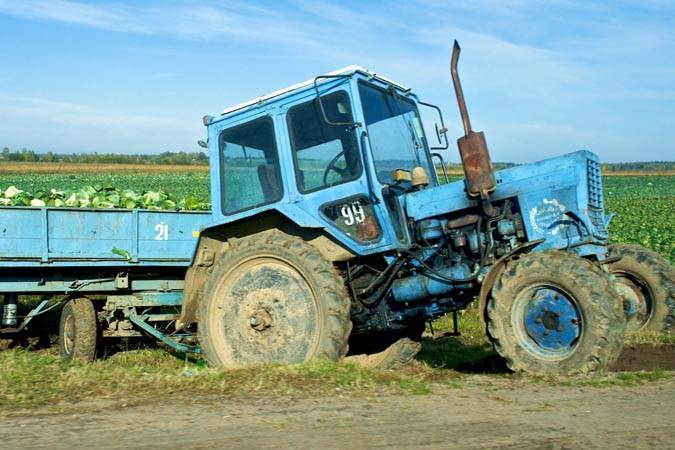 Убыточное предприятие: в каких случаях возможно банковское кредитование