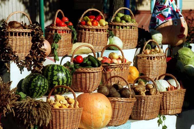 Складские свидетельства на сельхозпродукцию: преимущества нового неэмиссионного финансового инструмента Складские свидетельства на сельхозпродукцию: преимущества нового неэмиссионного финансового инструмента