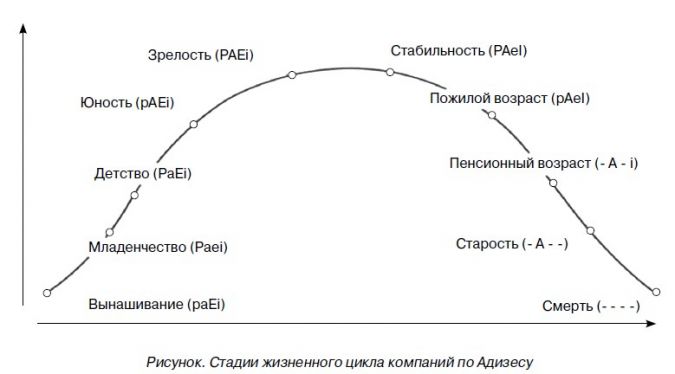 Стадии.jpg